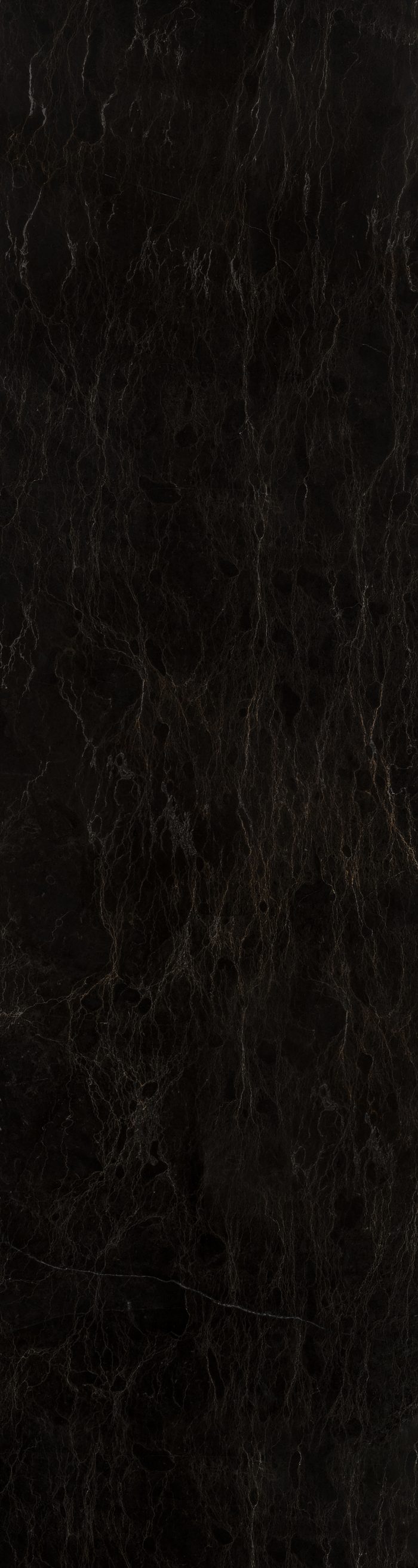 مرمریت دهبید اسپایدر - Image 3